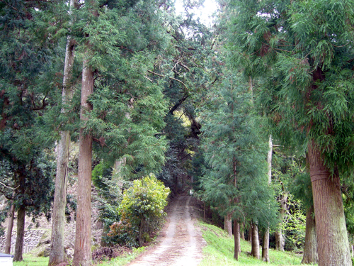 山道
